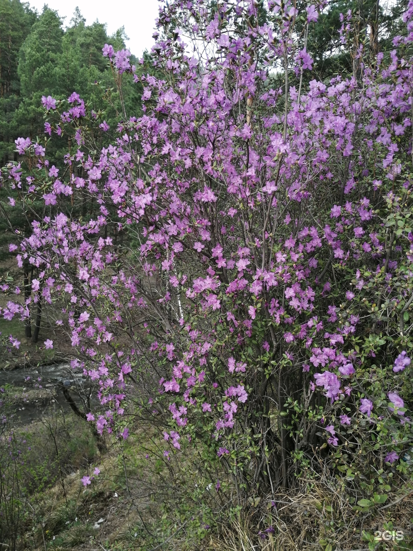 Дом - фото 18