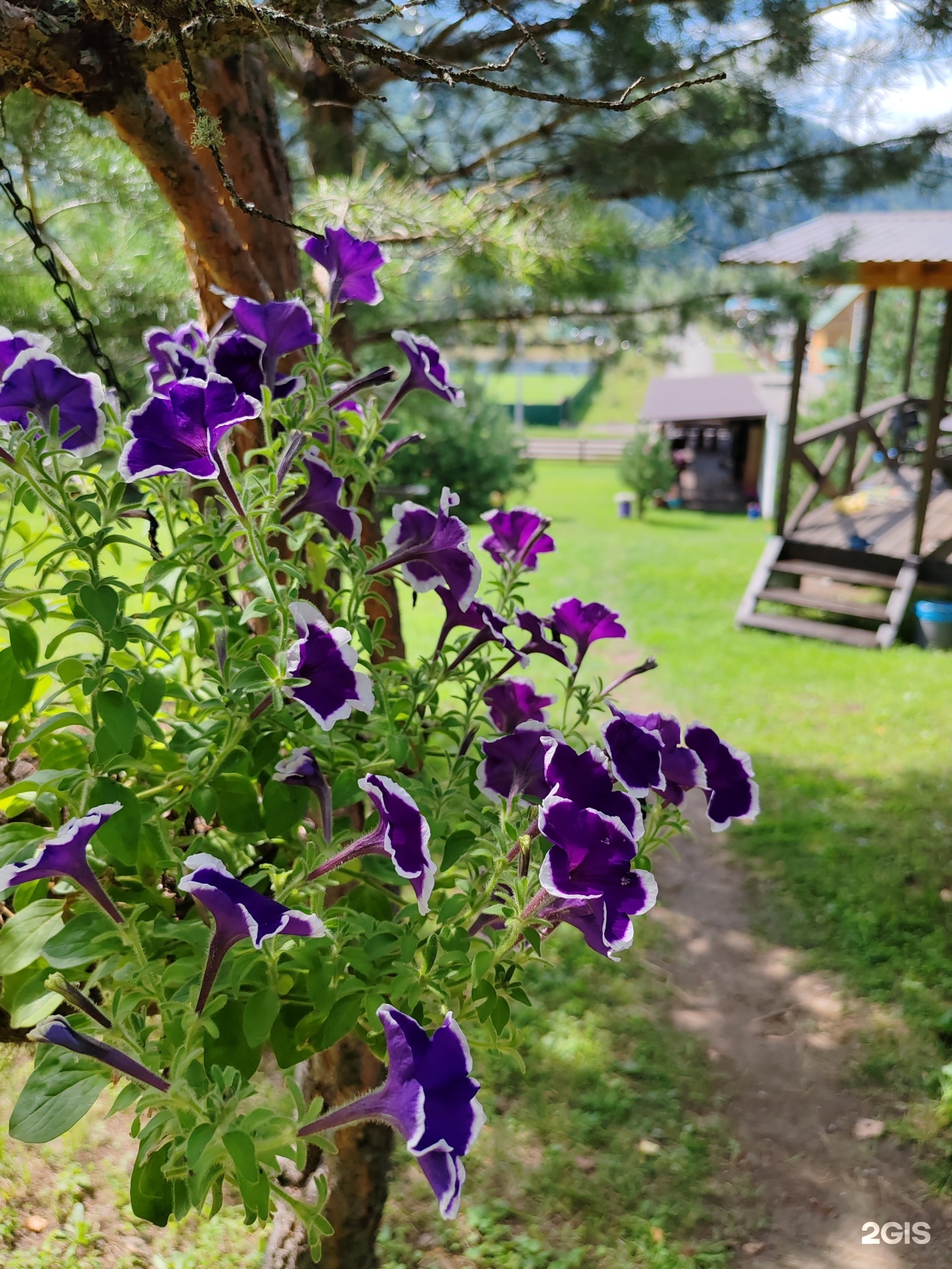 Дом - фото 33