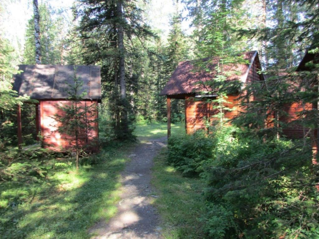 Исток - фото 6