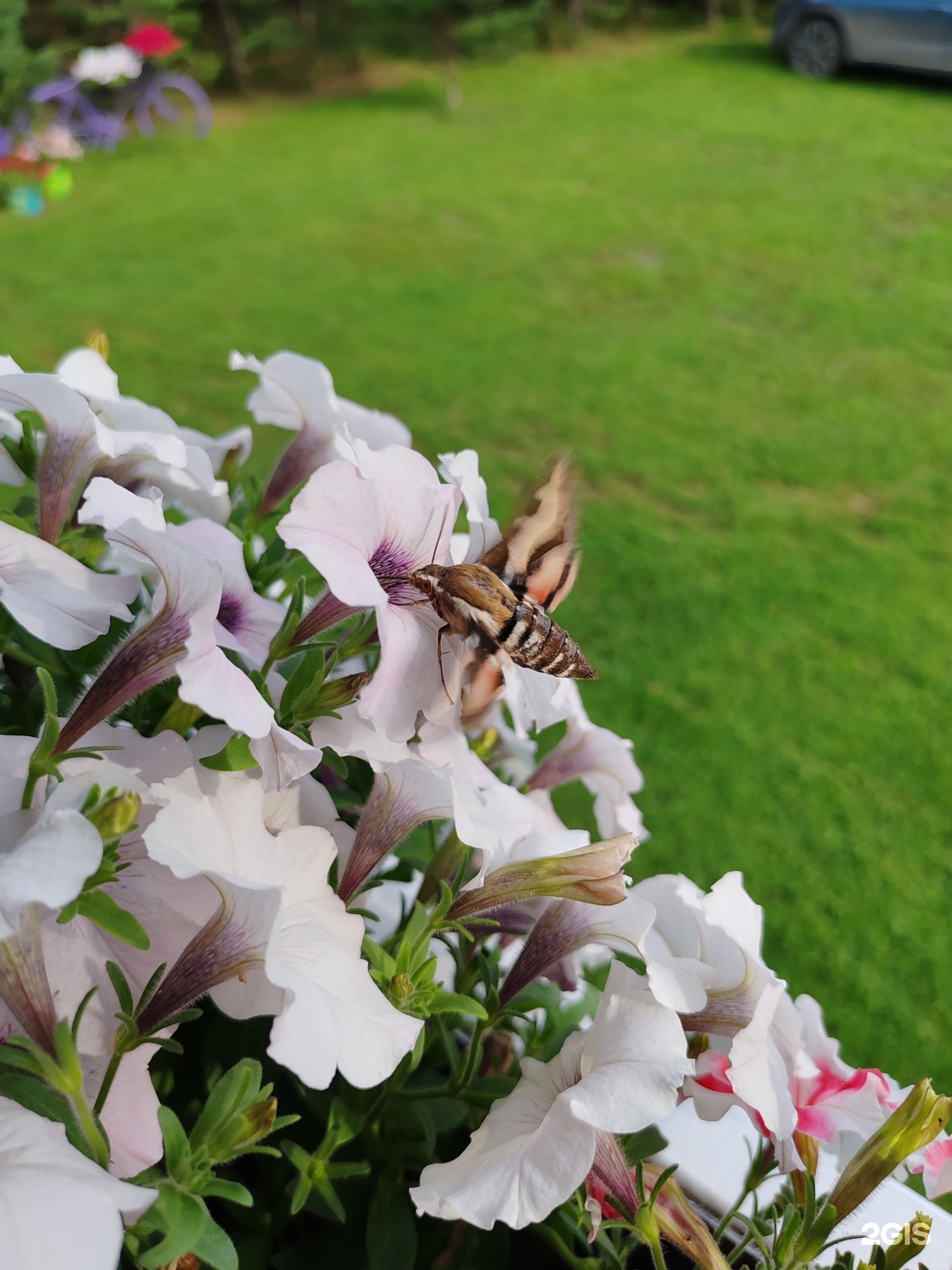 Апартаменты на с. Узнезя, ул. Лучегорская - фото 52