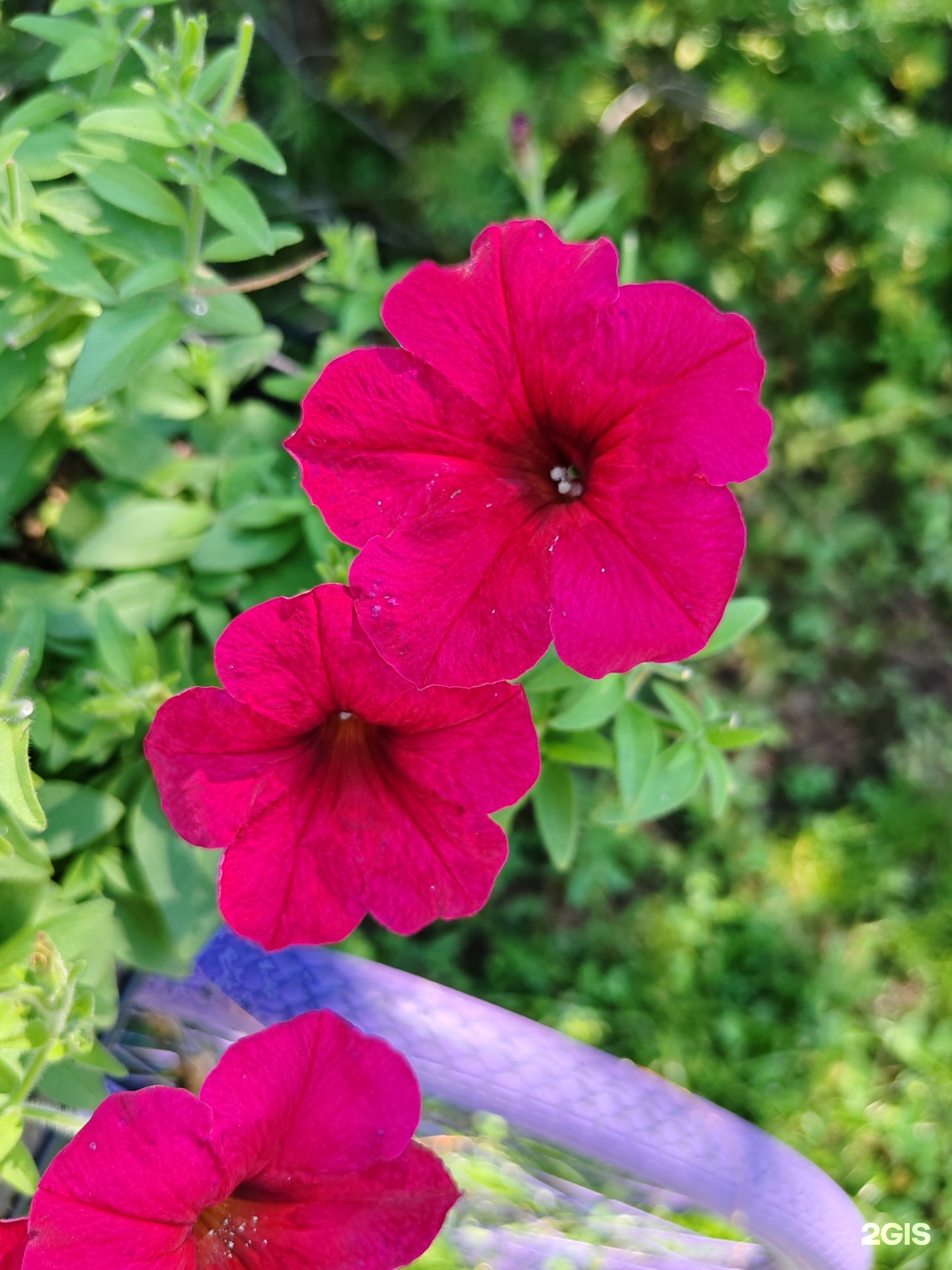 Дом - фото 49