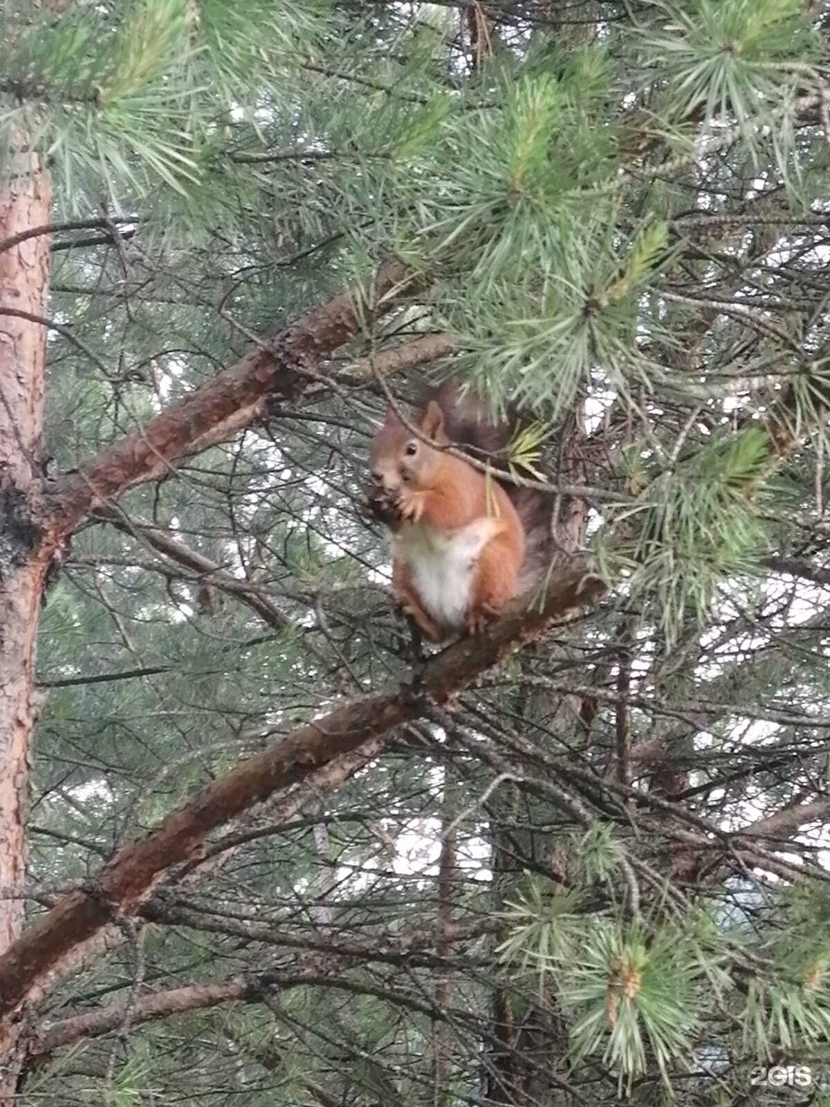 Дом - фото 56