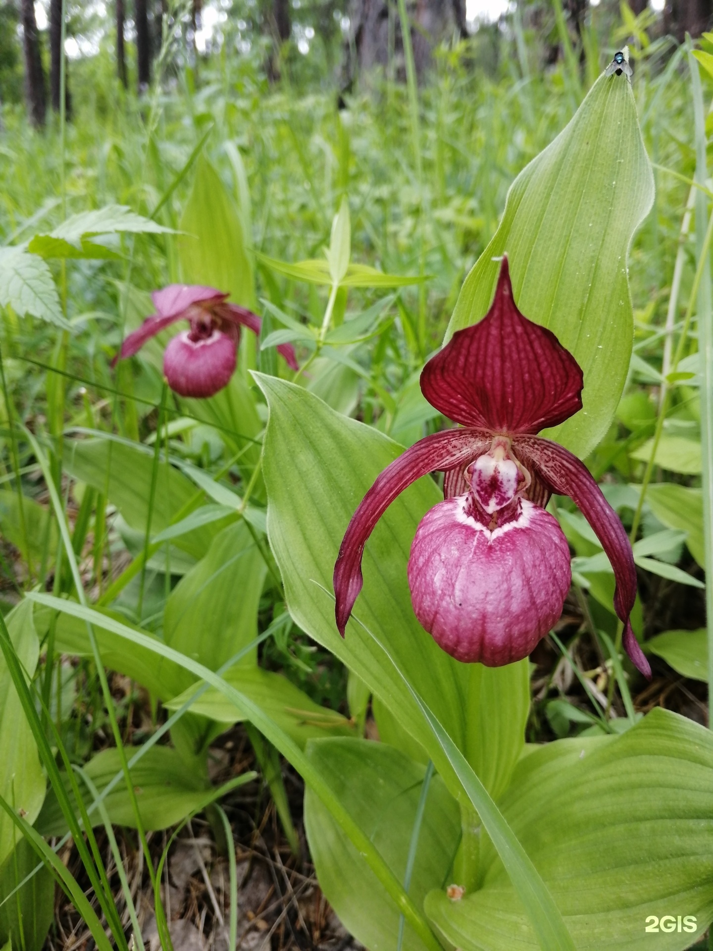 Апартаменты на с. Узнезя, ул. Лучегорская - фото 43