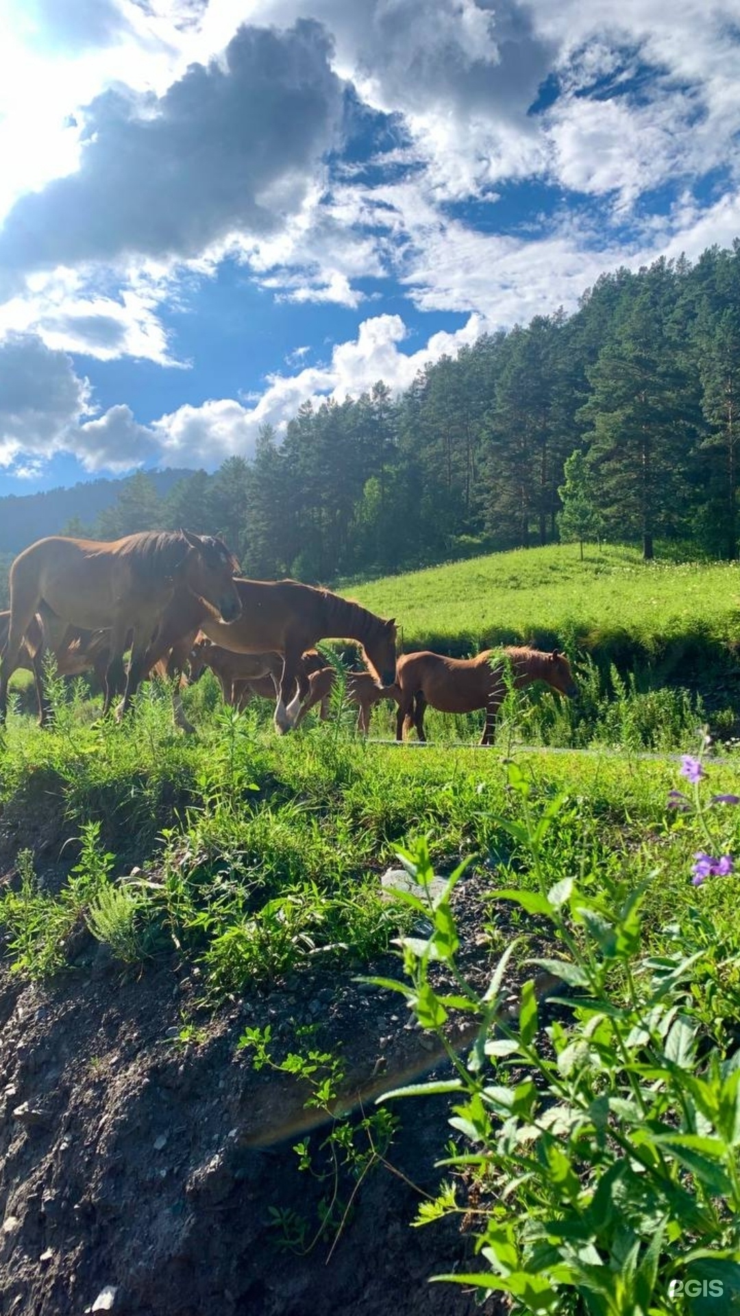 Квартира - фото 39