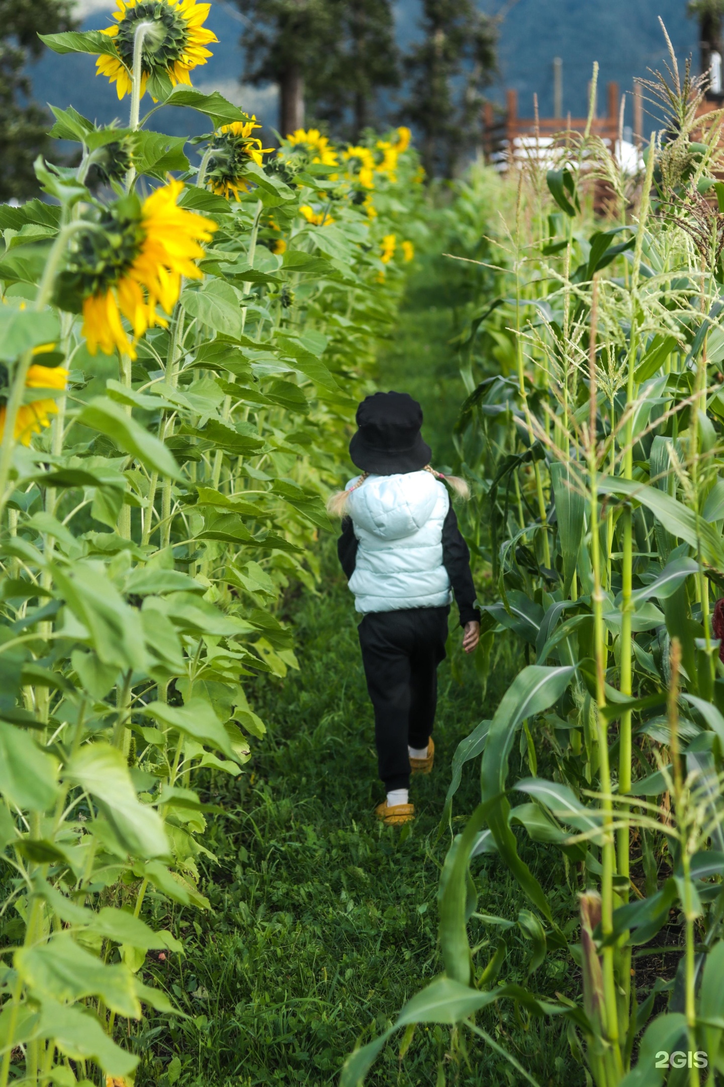 ЭкоРанчо - фото 47