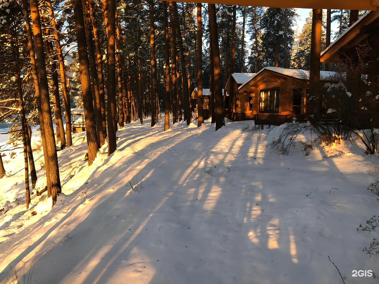 Altay Sense - фото 30