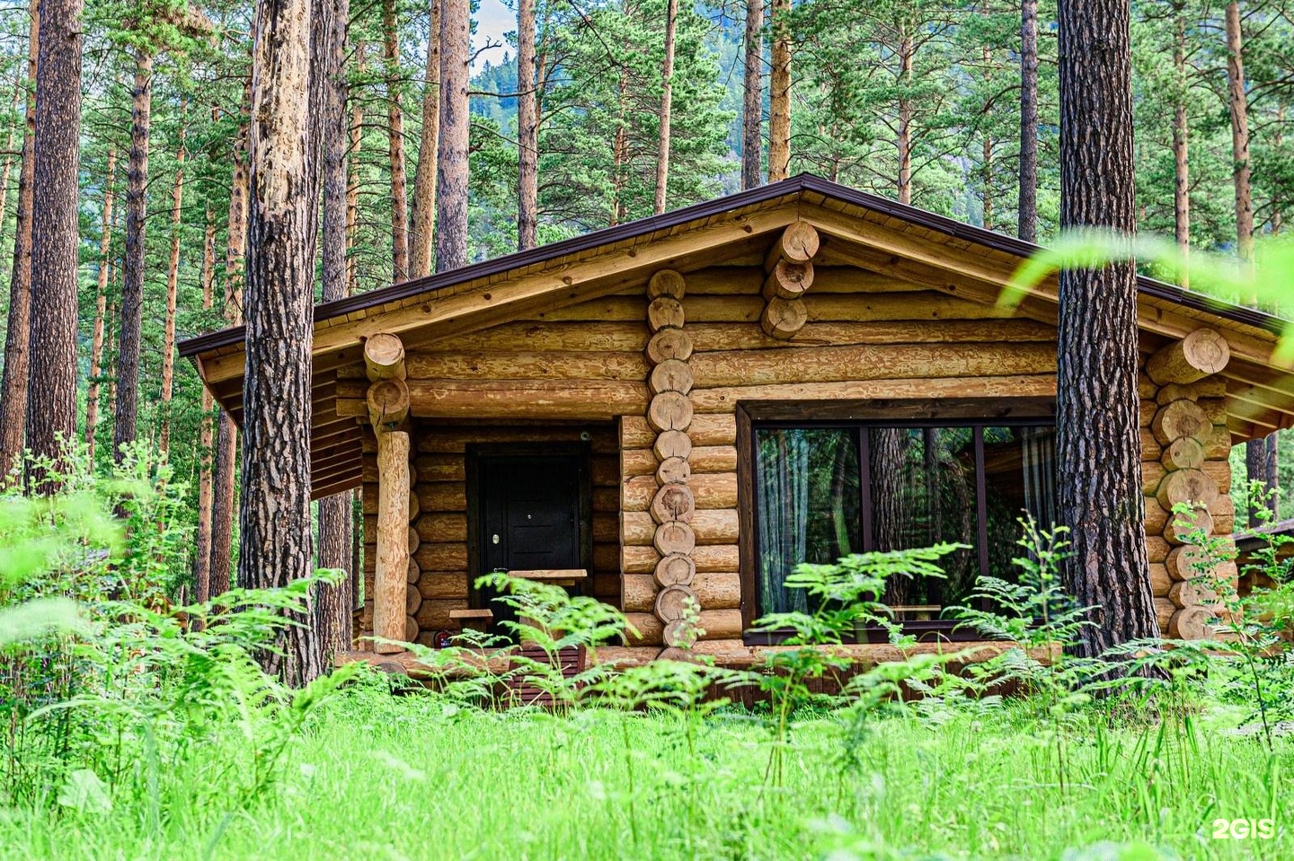 Altay Sense - фото 40