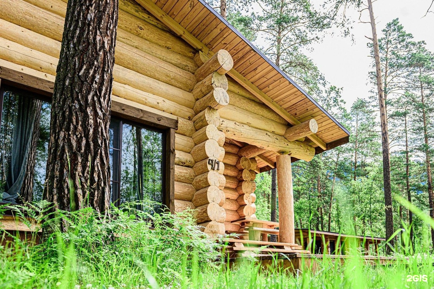 Altay Sense - фото 46