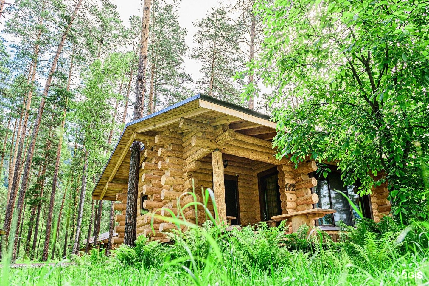 Altay Sense - фото 54