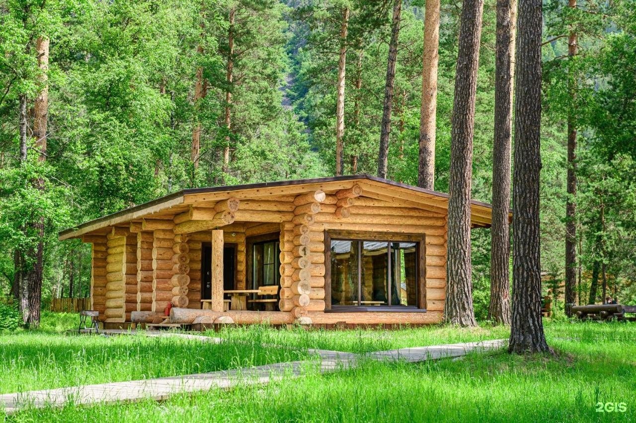 Altay Sense - фото 55