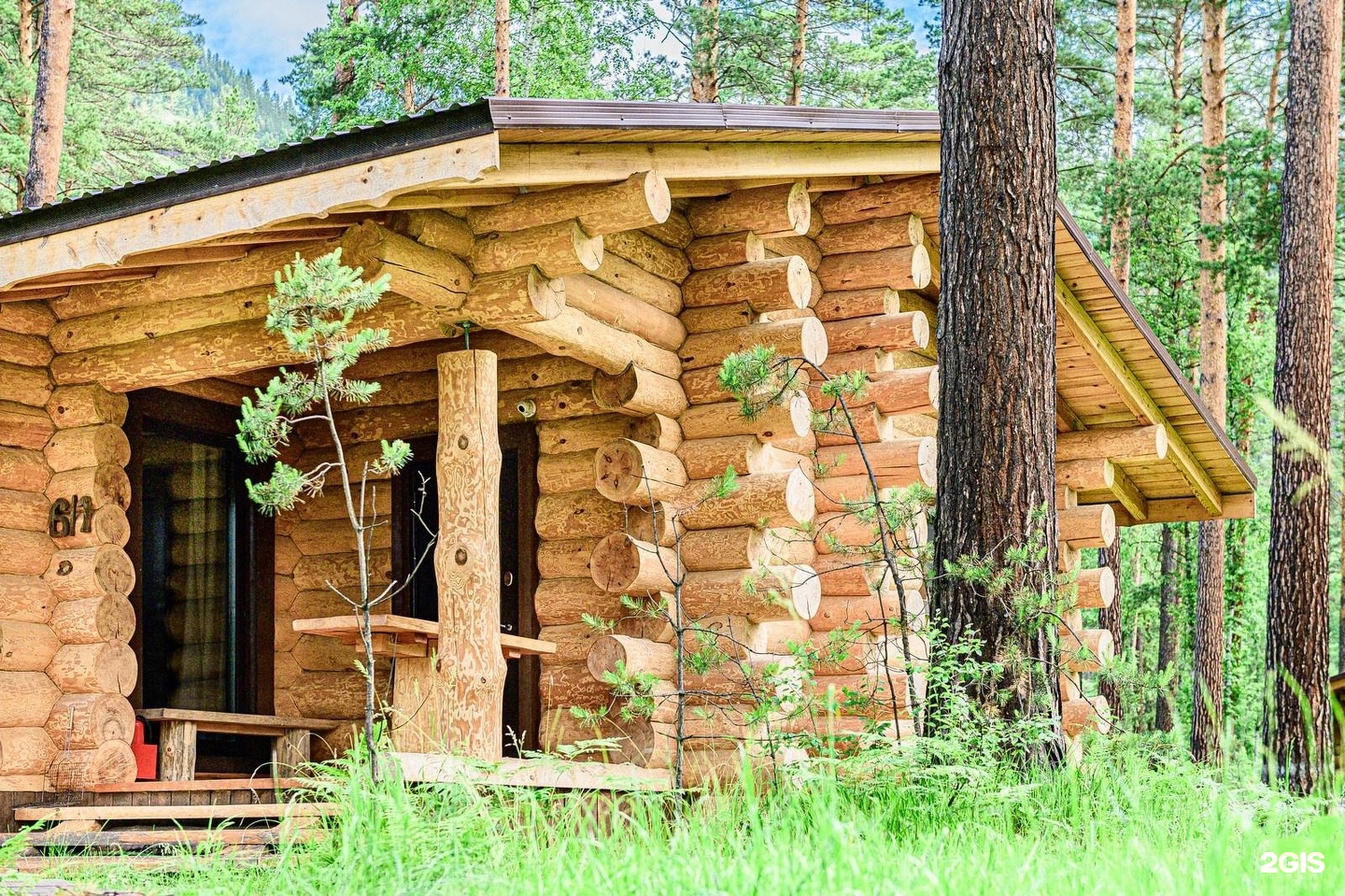 Altay Sense - фото 58