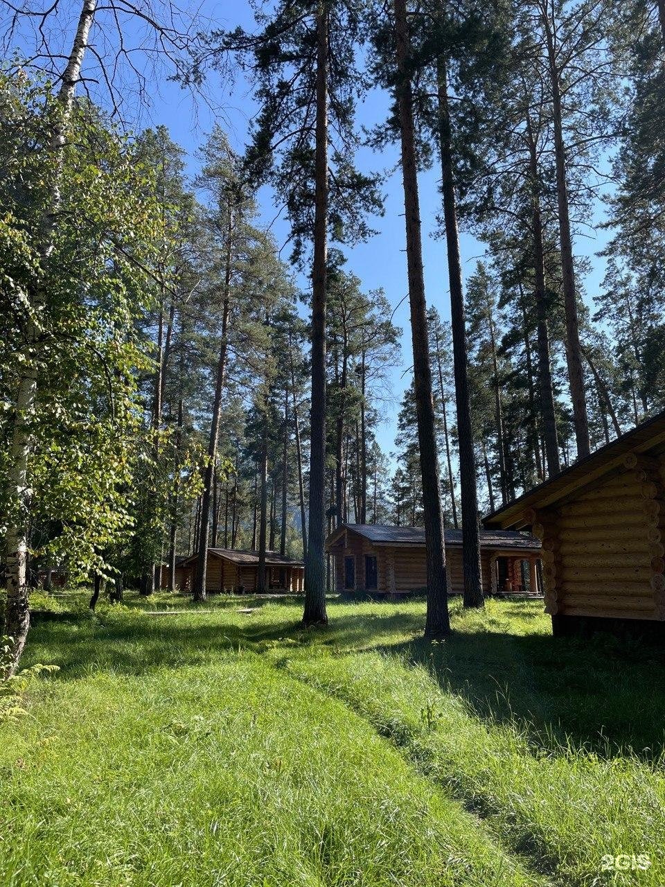 Altay Sense - фото 60