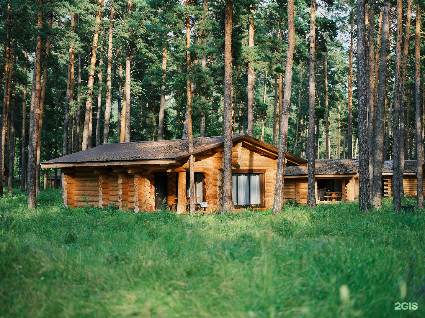 Altay Sense - фото 73