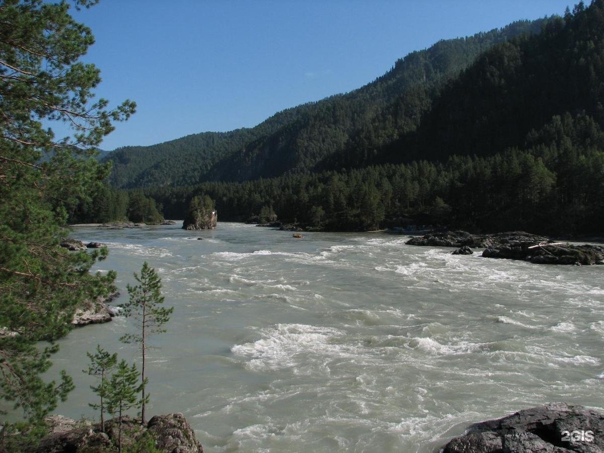 Altay Sense - фото 76