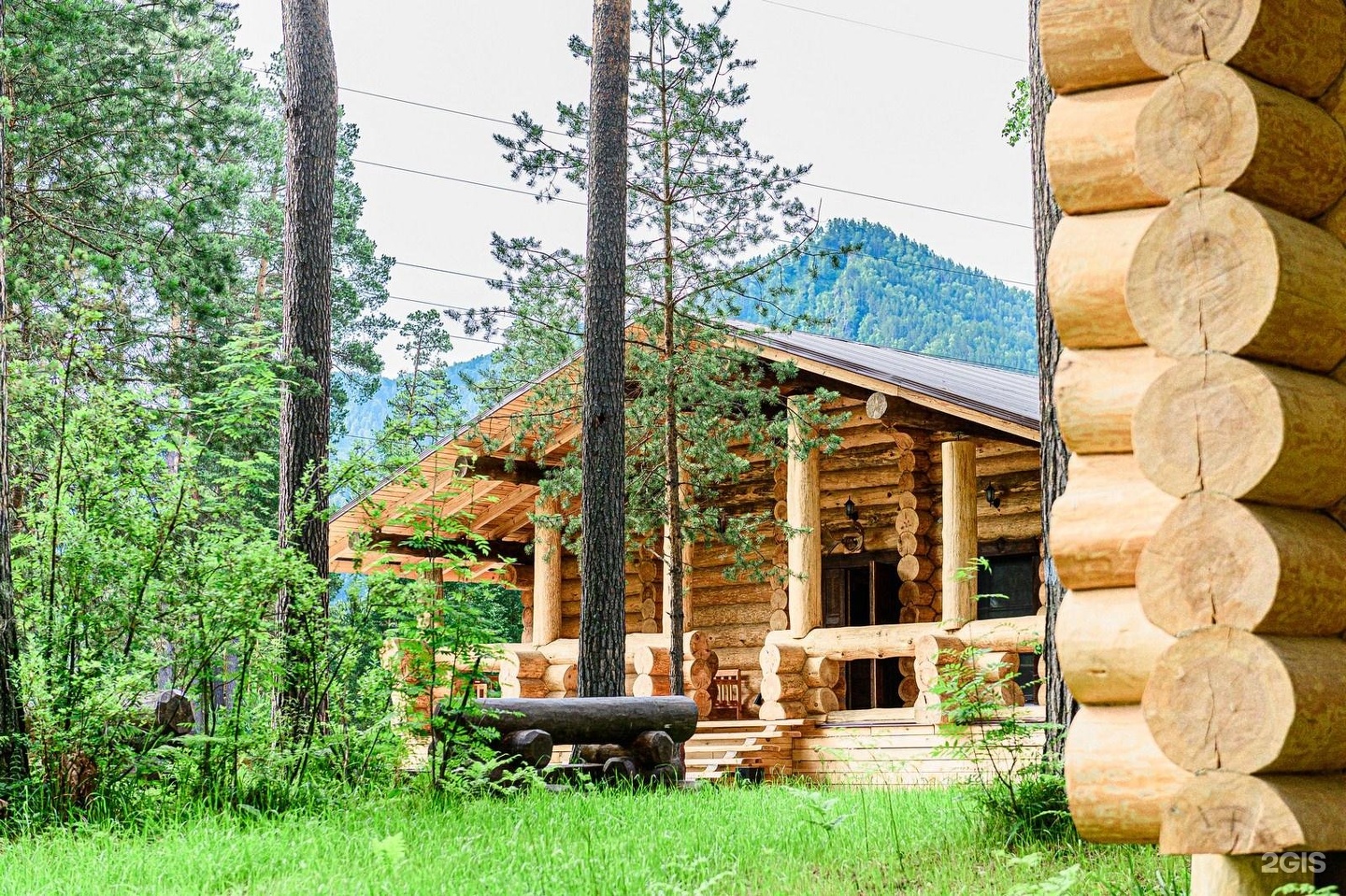 Altay Sense - фото 77