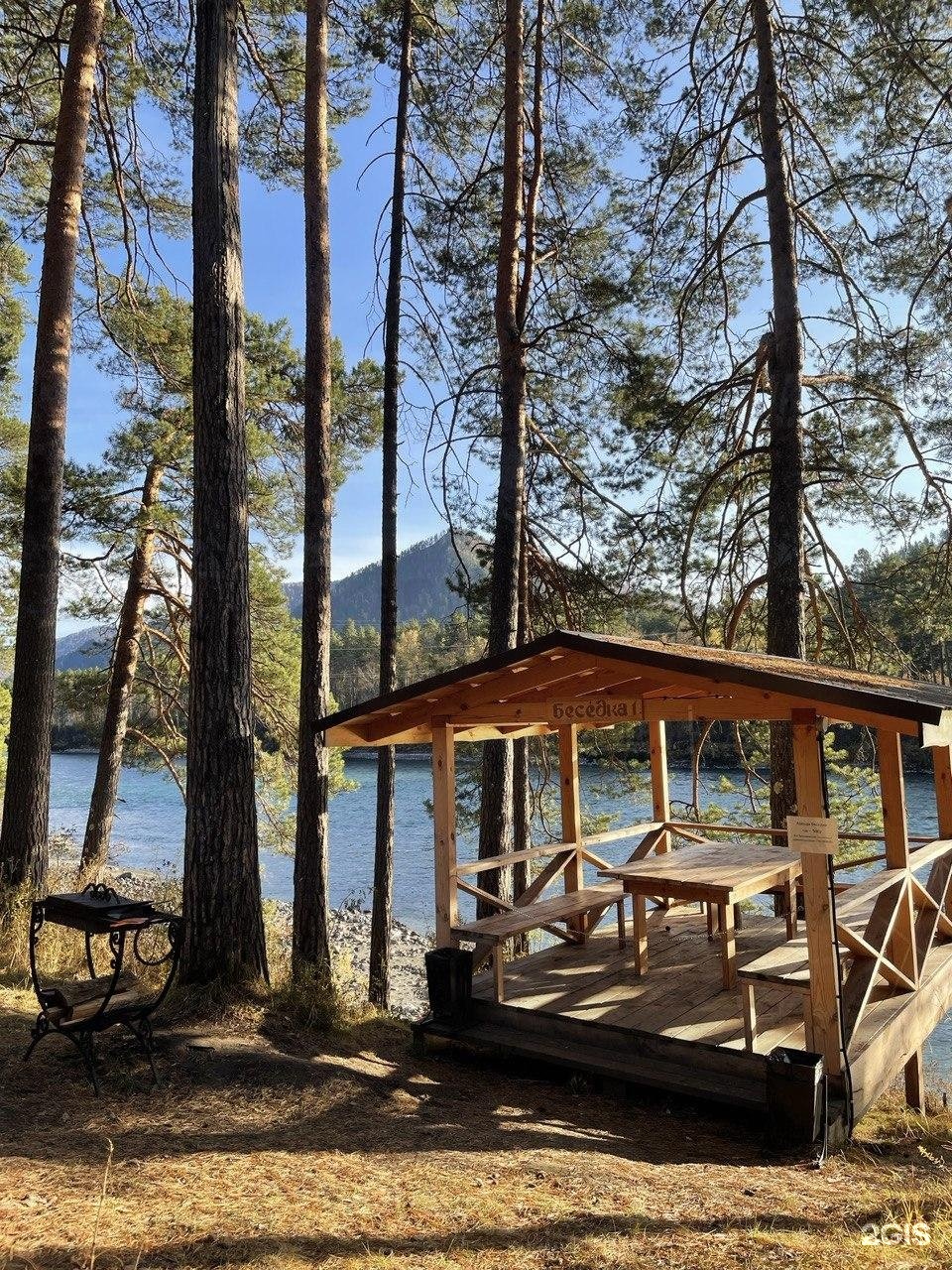 Altay Sense - фото 106