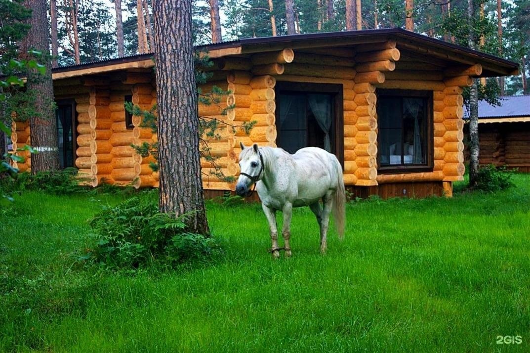 Altay Sense - фото 116