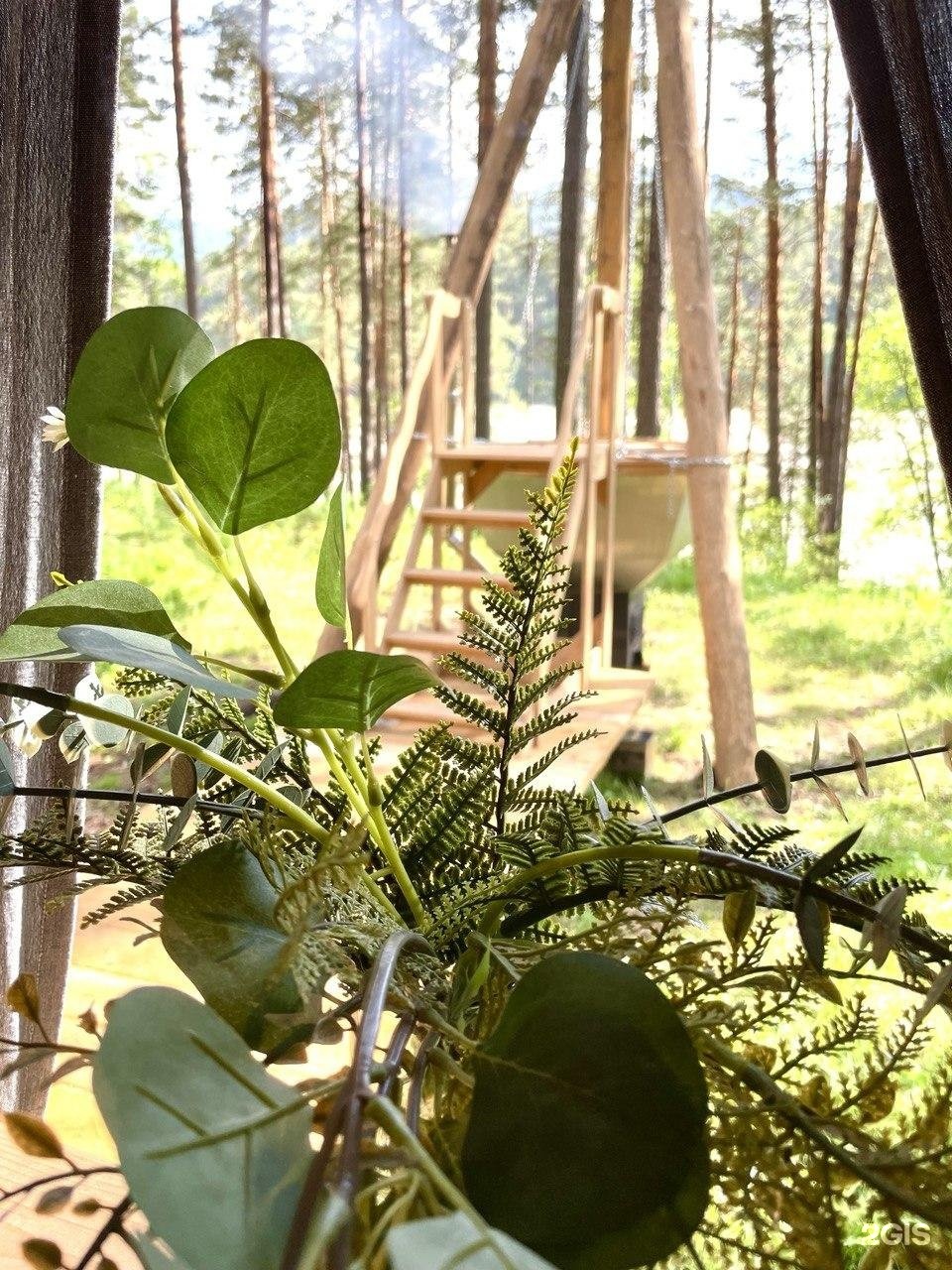 Altay Sense - фото 118