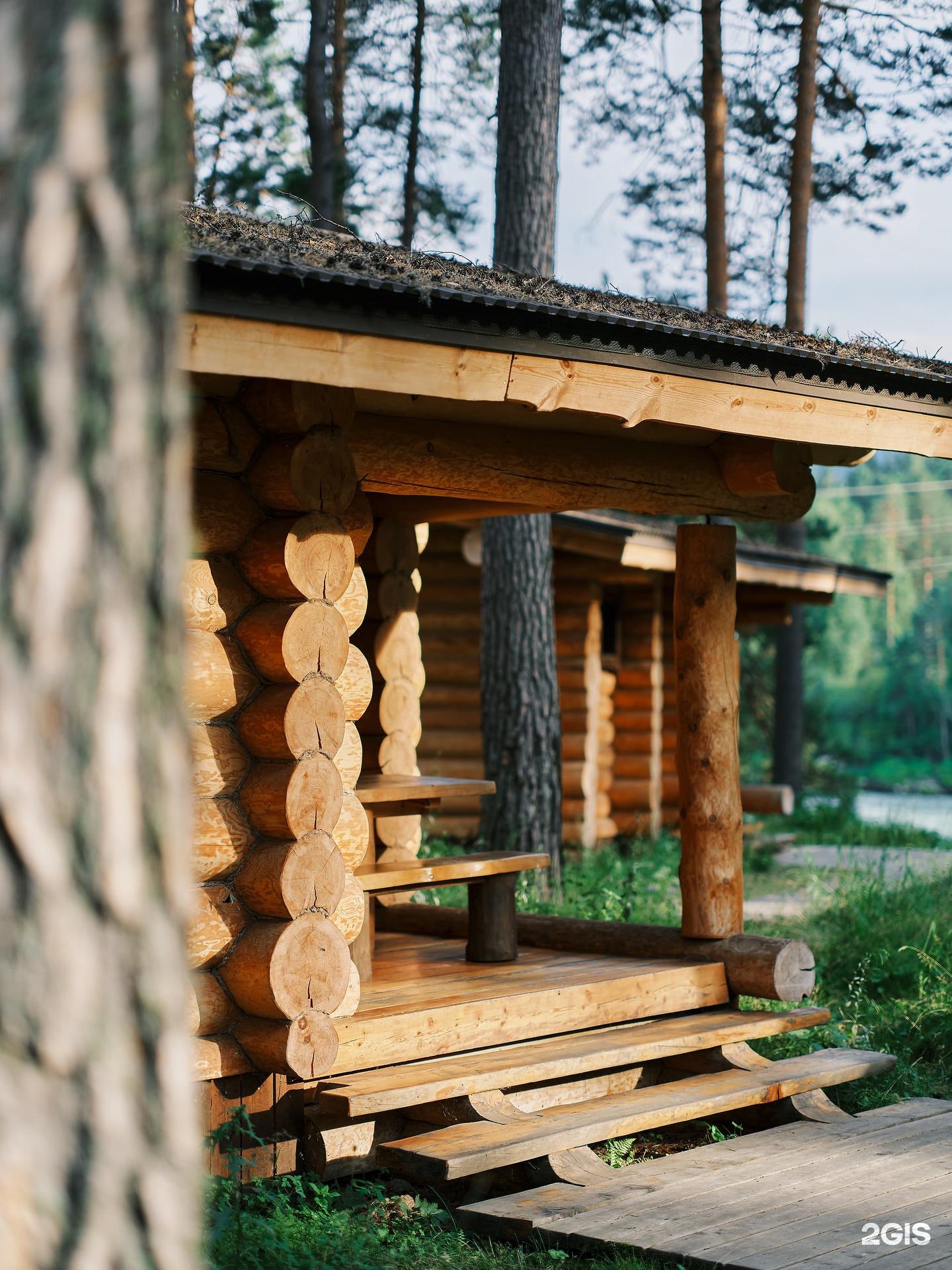 Altay Sense - фото 120