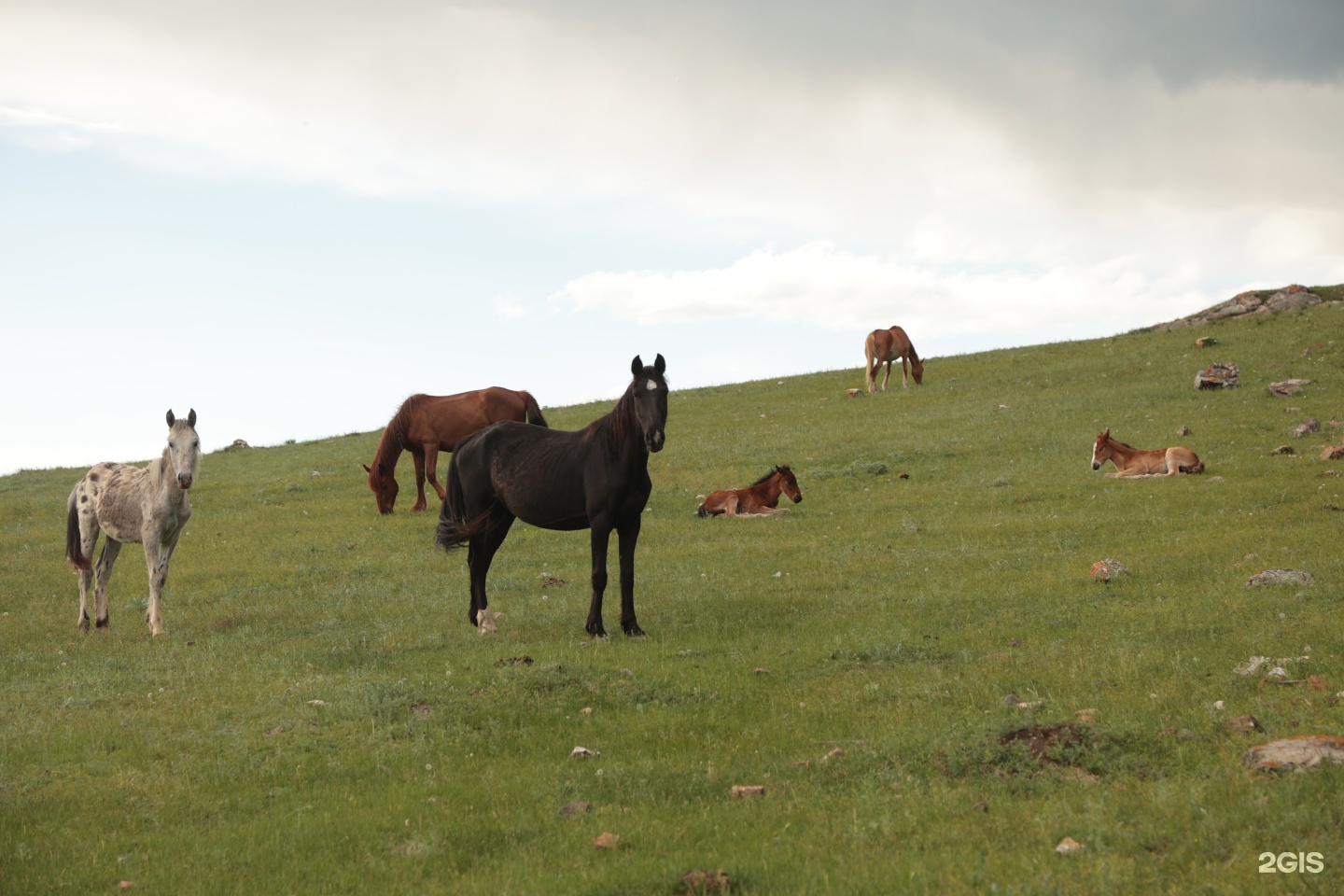 Атарай - фото 39