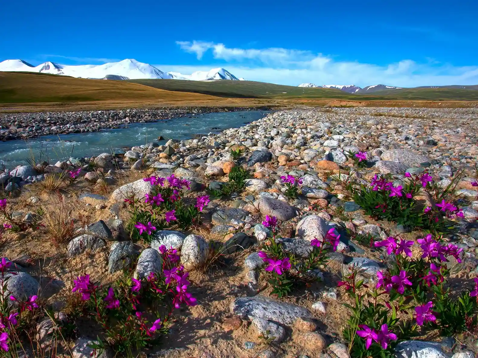 Природный парк «Зона покоя Укок» - фото 5