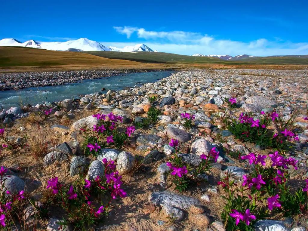 Природный парк «Зона покоя Укок» - фото 5