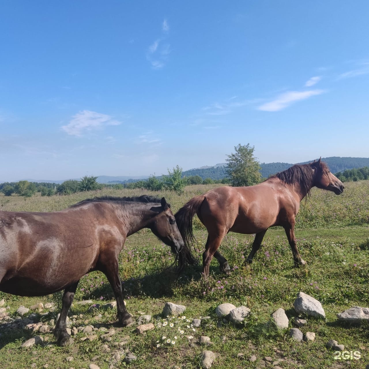 Банный край - фото 14