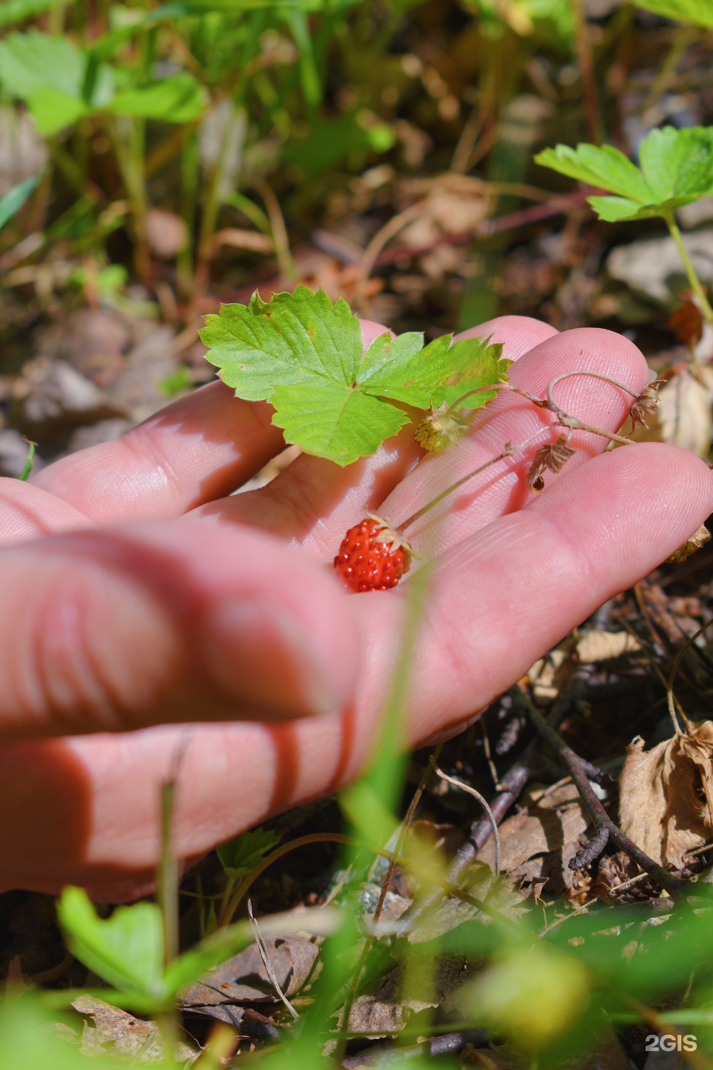 Банный край - фото 56