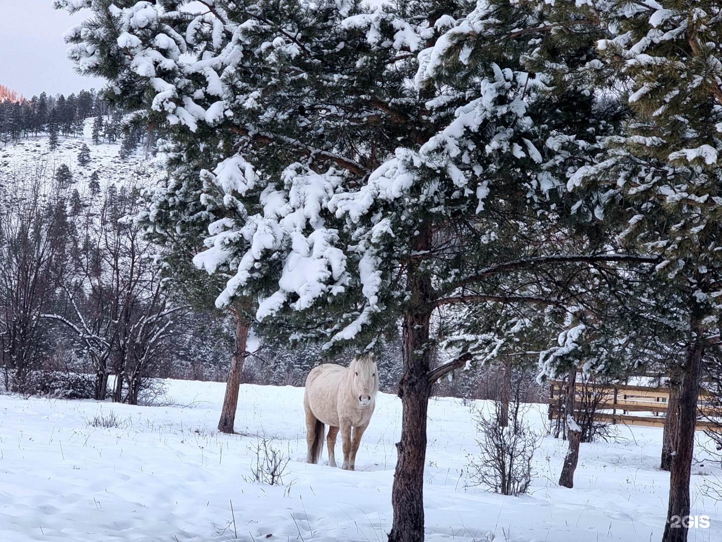 Апартаменты на территория Алтай Рест, 1 - фото 24