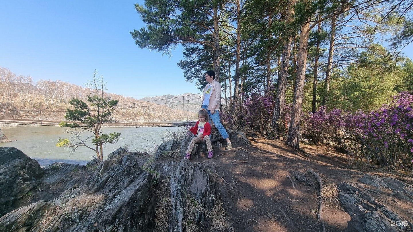 Апартаменты на территория Алтай Рест, 1 - фото 36