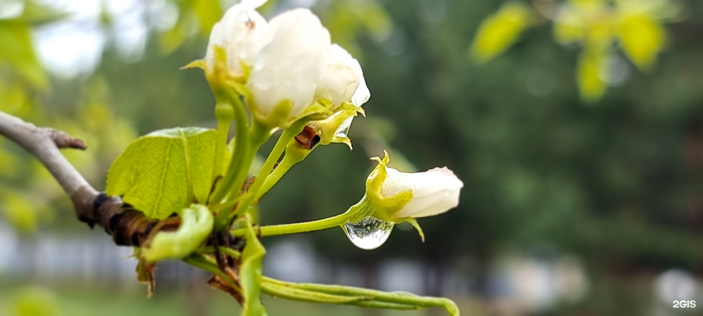 Апартаменты на территория Алтай Рест, 1 - фото 42