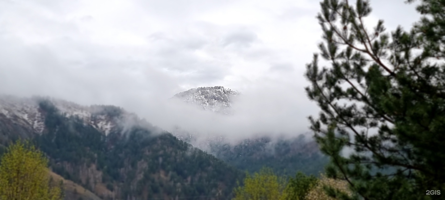 Апартаменты на территория Алтай Рест, 1 - фото 78
