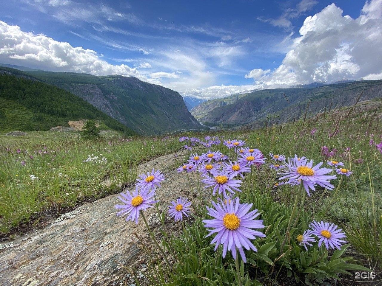 Выше гор Телецкое - фото 4