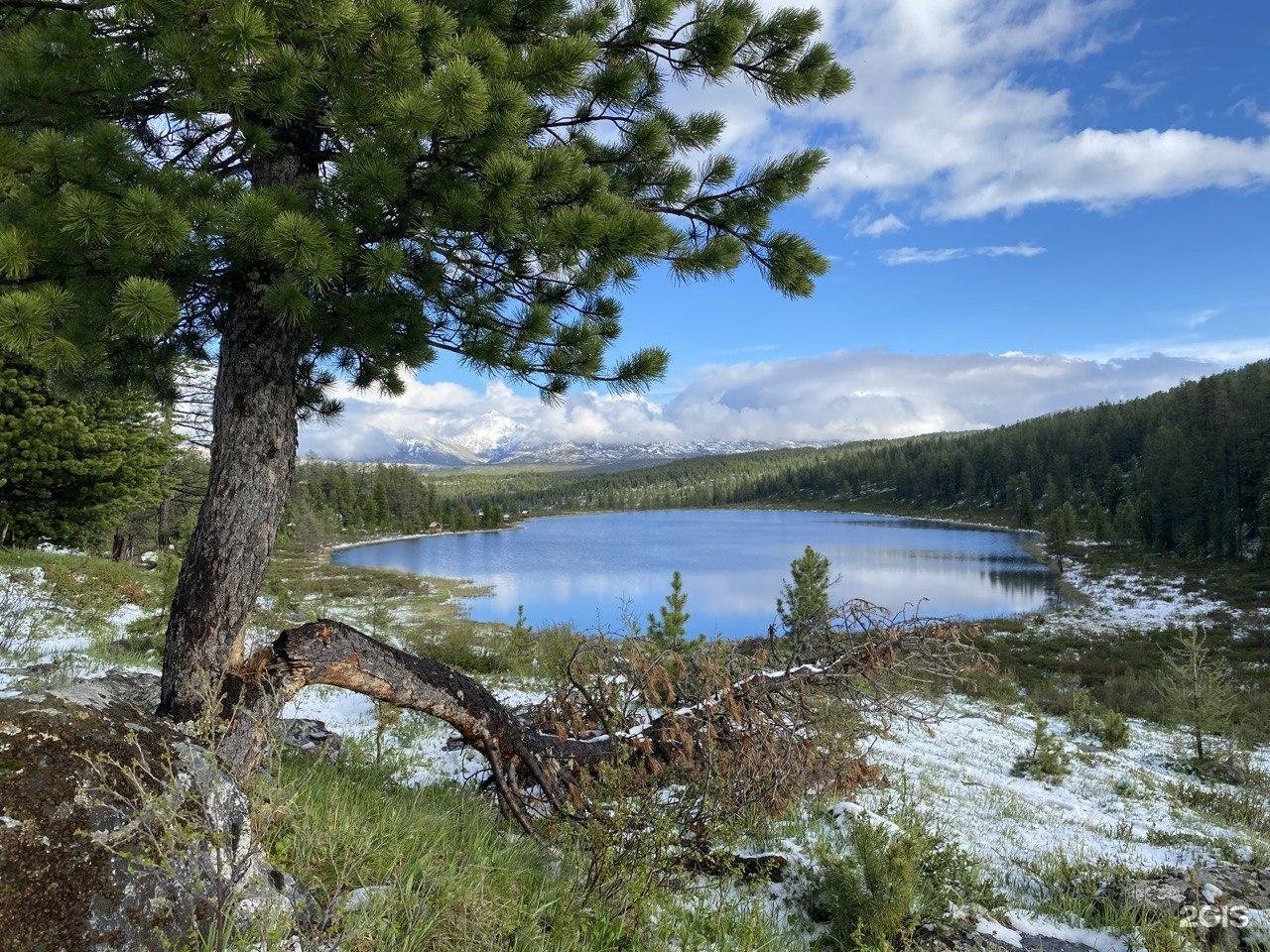 Выше гор Телецкое - фото 6