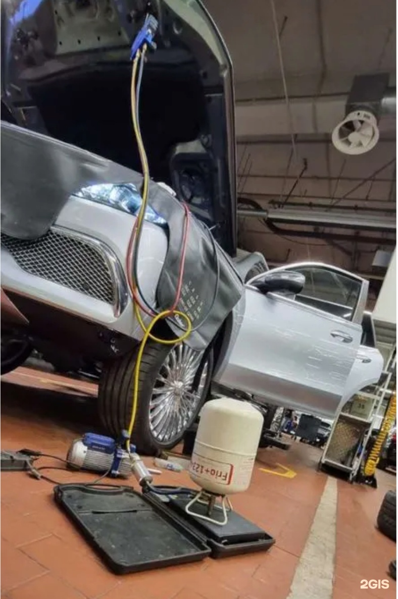 Выше гор Телецкое - фото 19