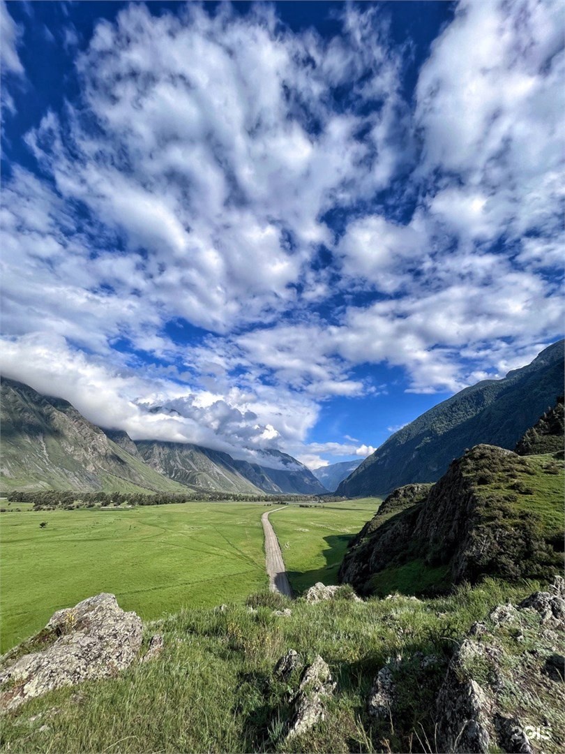 Тент-дом первая линия Телецкое - фото 12