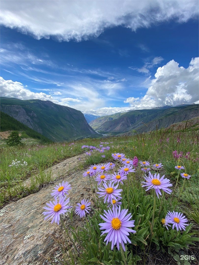 Тент-дом первая линия Телецкое - фото 13