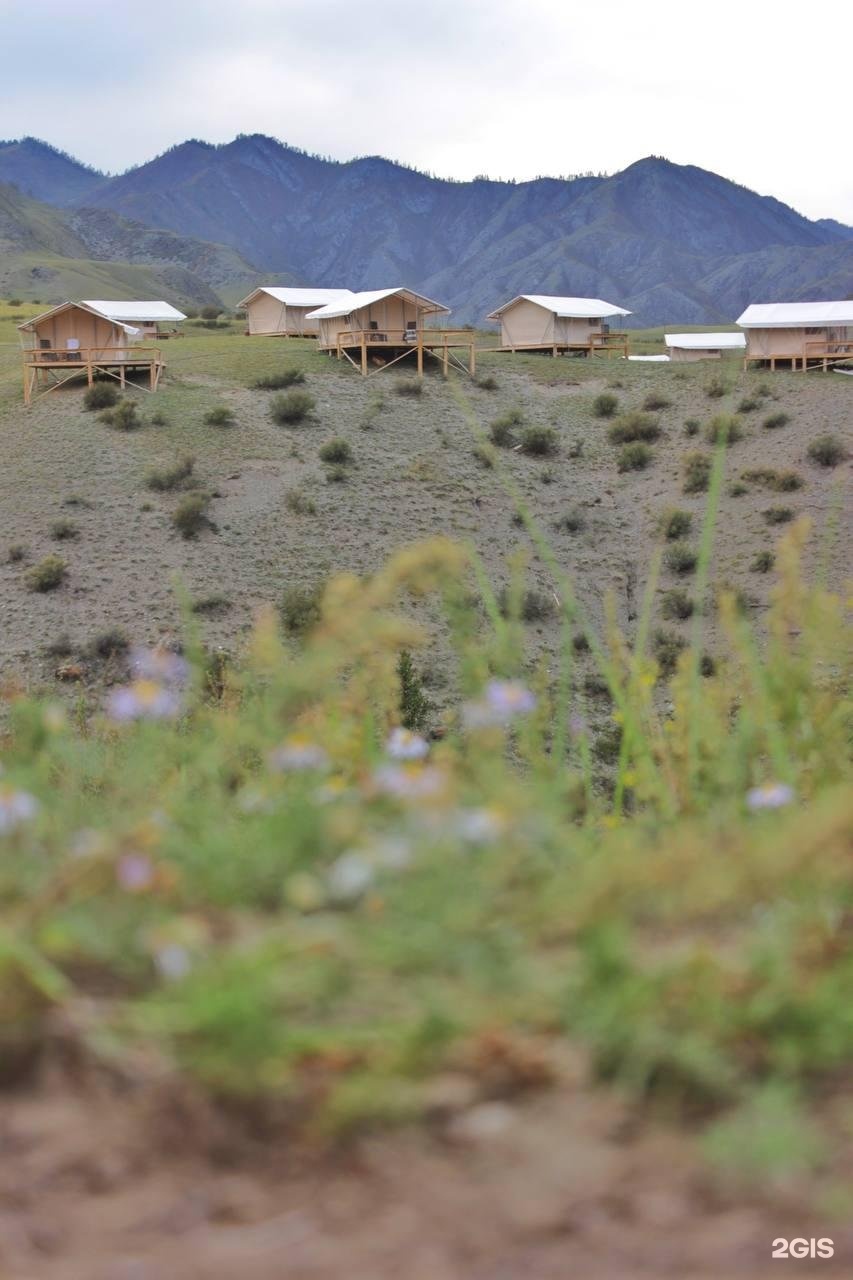 Выше гор Инегень - фото 13