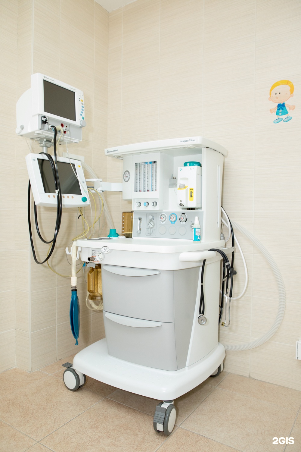 Выше гор Инегень - фото 18