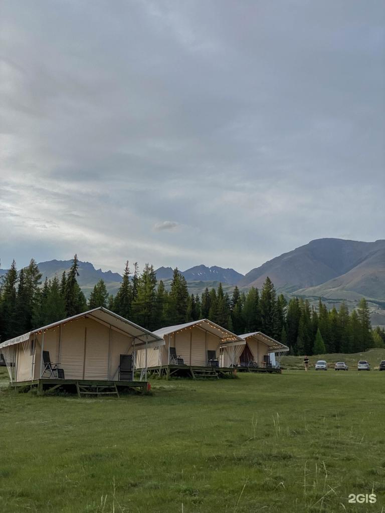 Выше гор Курай - фото 7