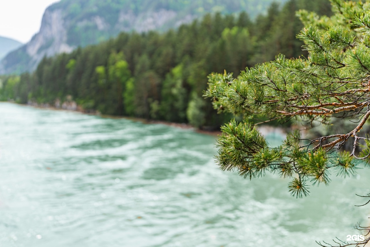 Grand Chalet Altay - фото 28
