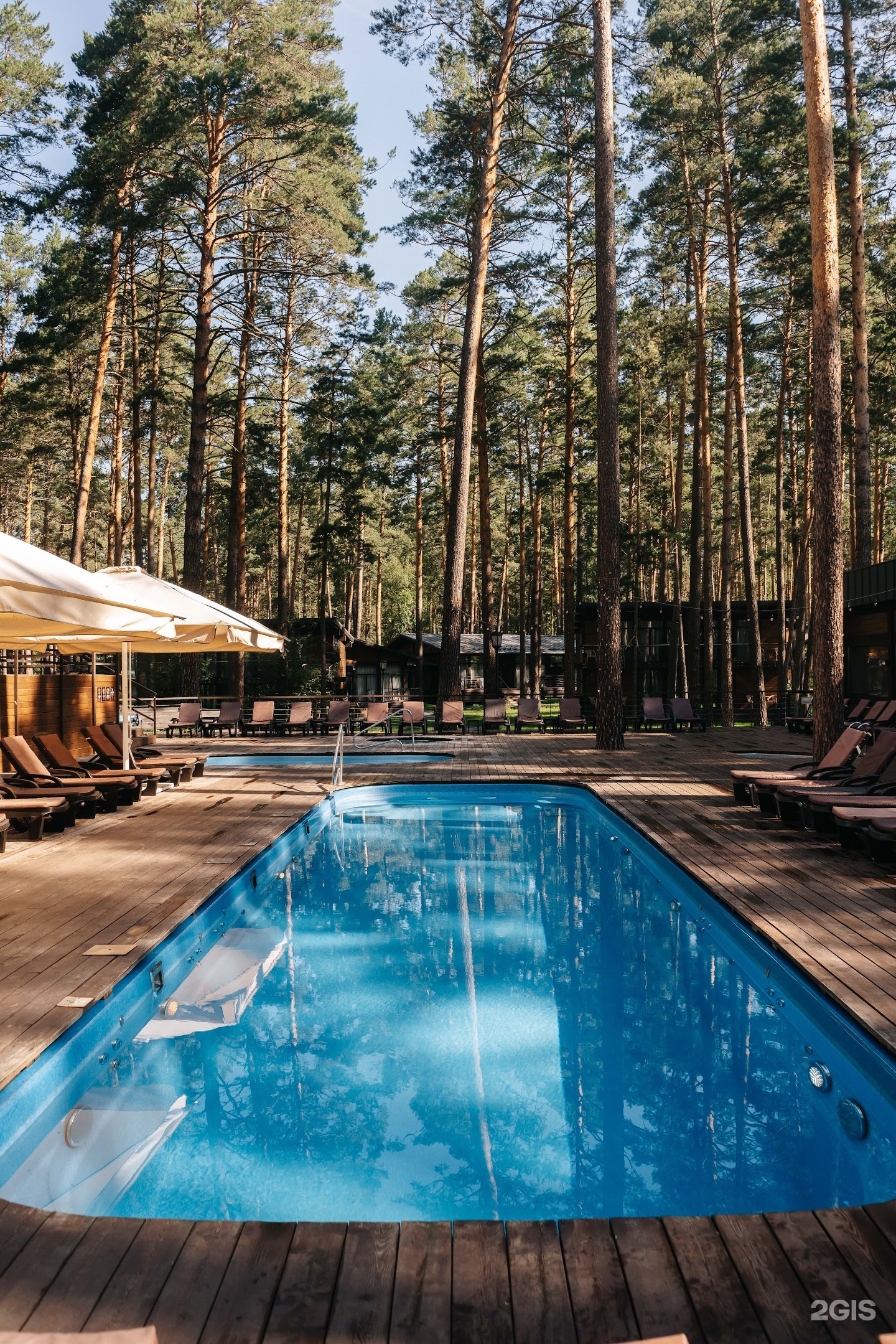 Сказка Алтая - фото 44