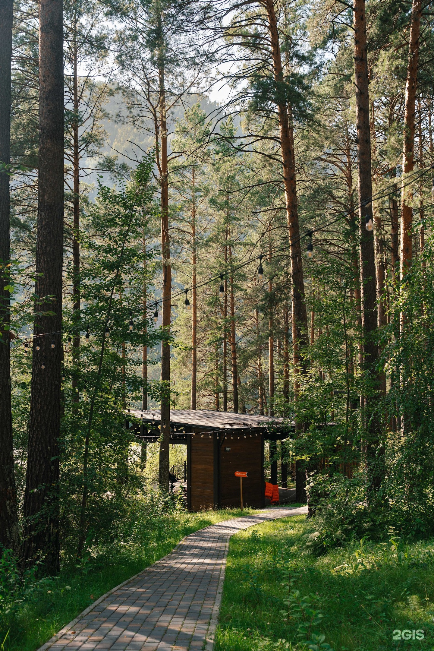 Сказка Алтая - фото 58