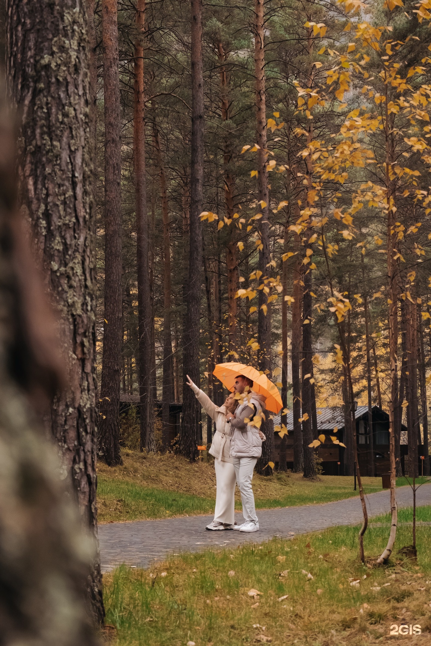 Сказка Алтая - фото 81