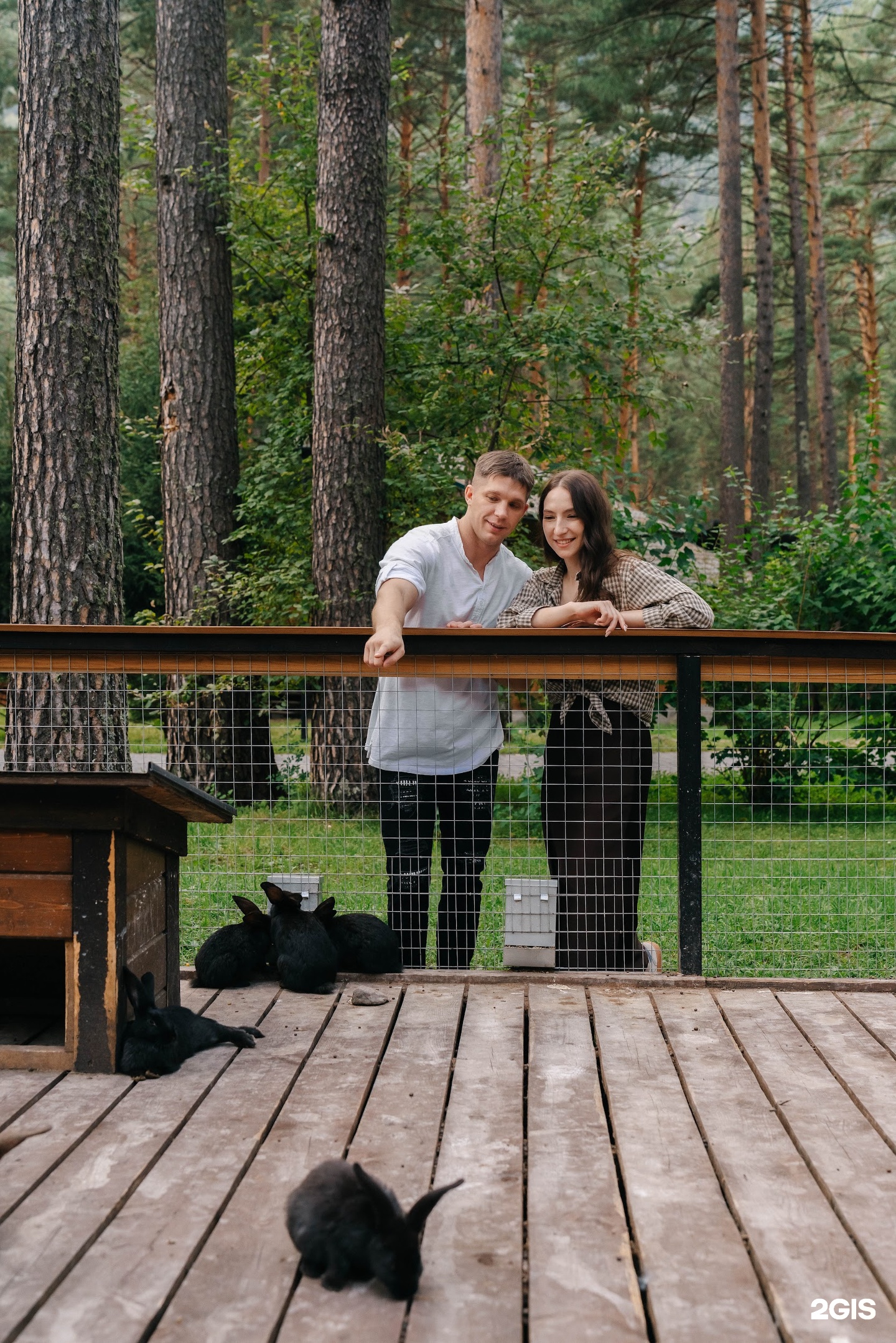 Сказка Алтая - фото 94