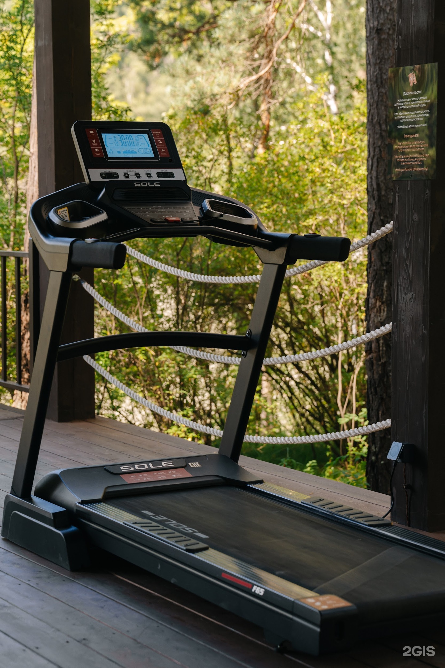 Сказка Алтая - фото 113