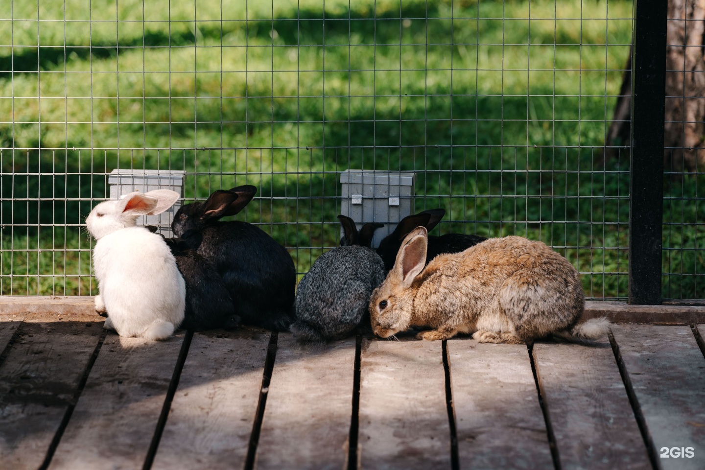 Сказка Алтая - фото 123