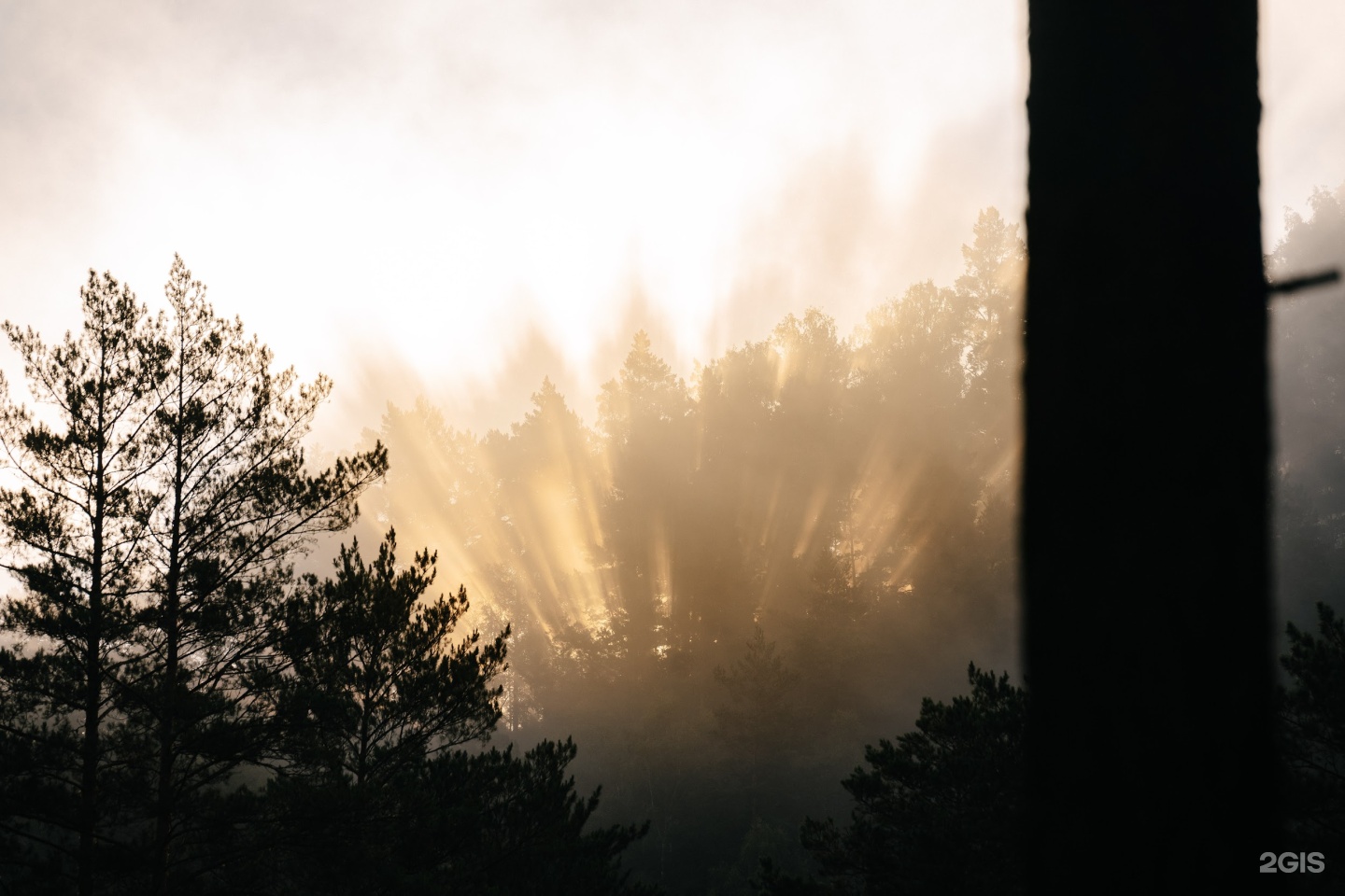 Сказка Алтая - фото 136