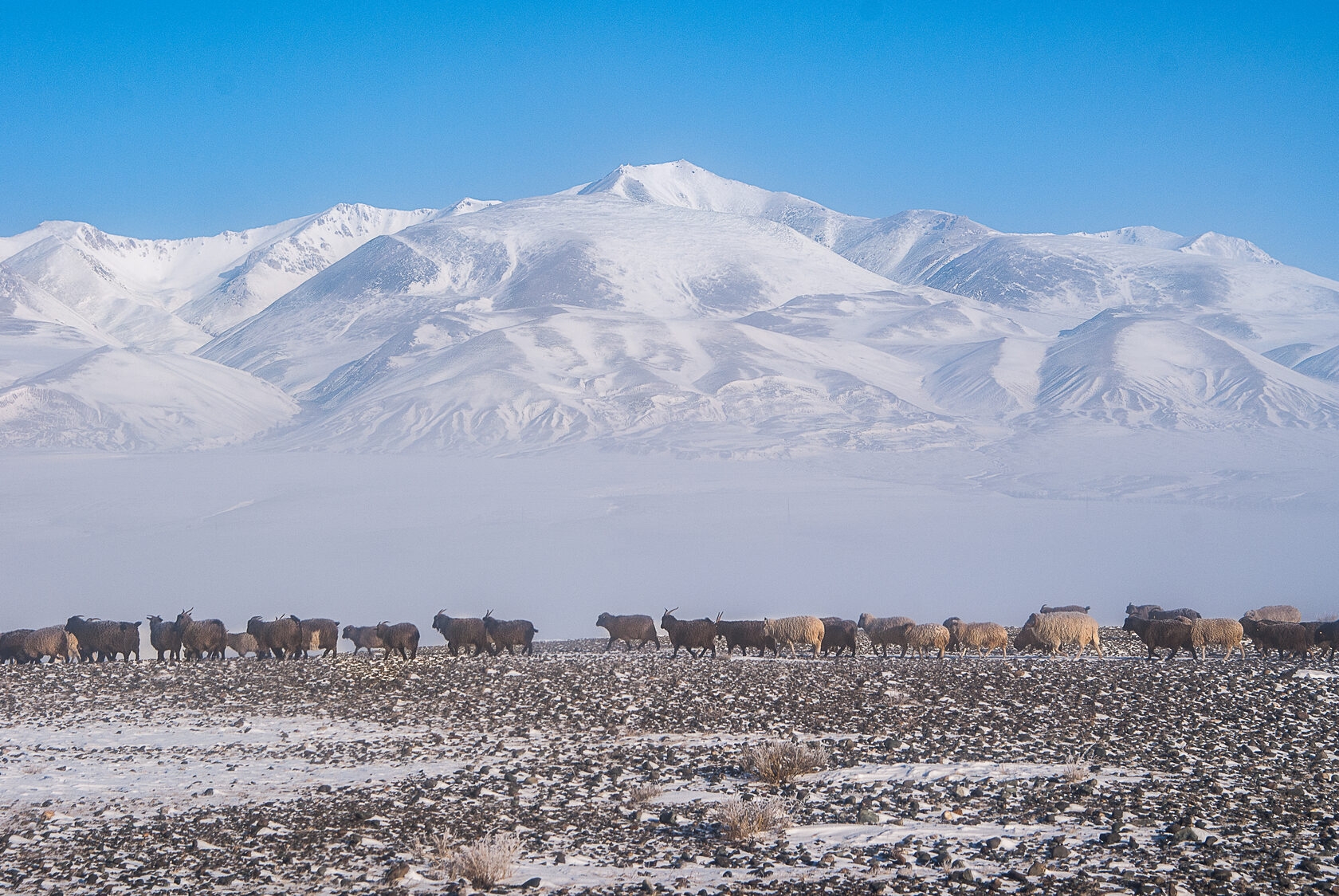 «Зима на границе: 3 сказки» - фото 11