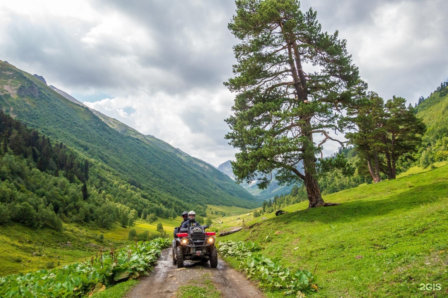 Cosmos Collection Altay Resort - фото 57